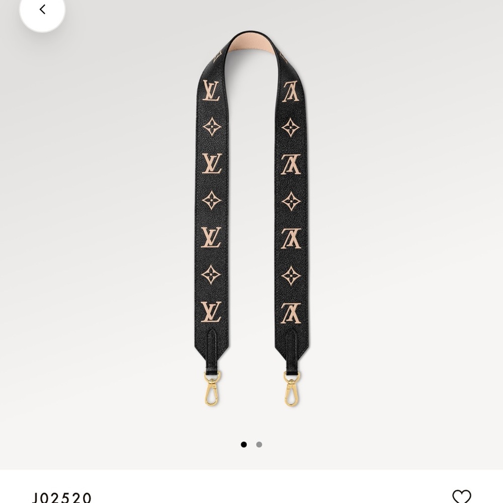 Louis Vuitton strap bag
